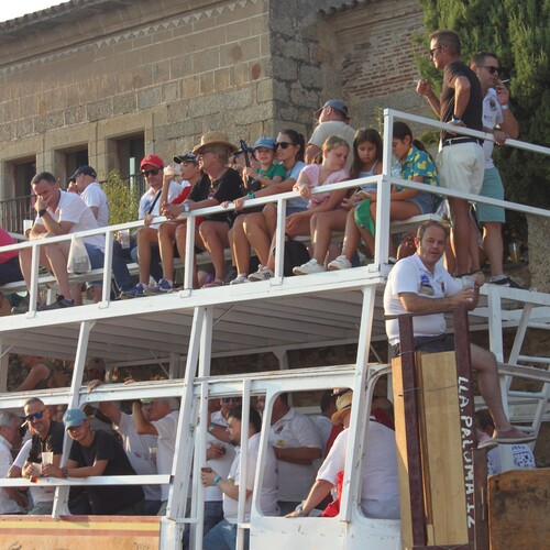 toros 21 agosto 2025 (11)